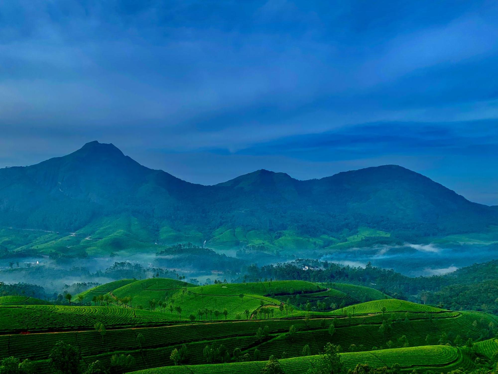 Lockhart Bungalow Munnar - A Cgh Earth Saha Experience Kültér fotó