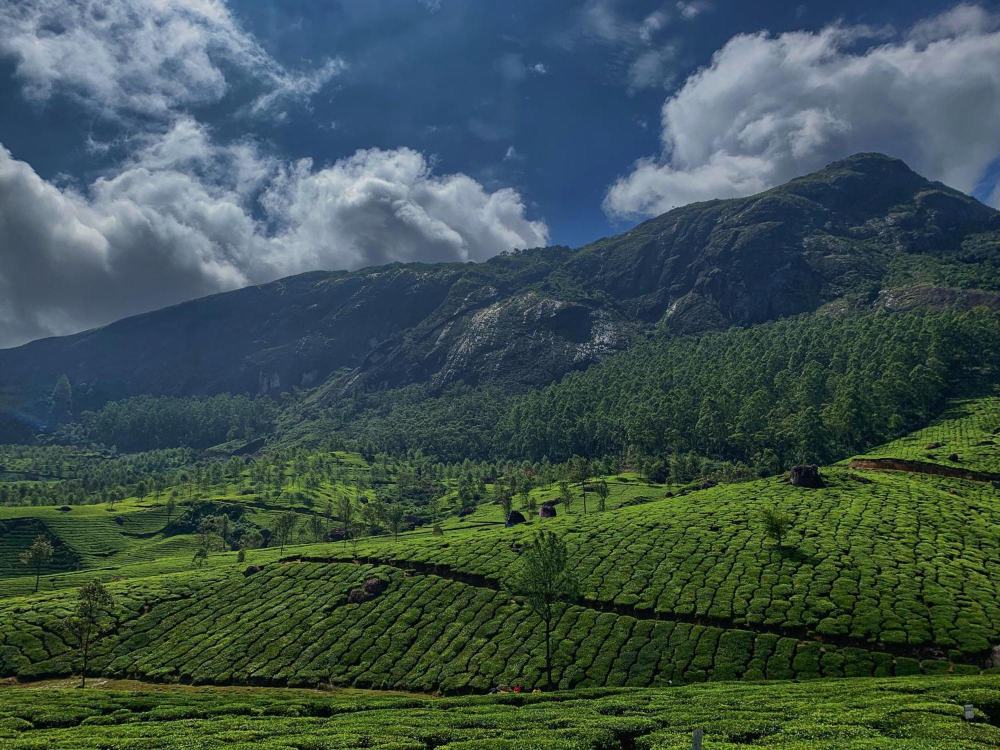 Lockhart Bungalow Munnar - A Cgh Earth Saha Experience Kültér fotó