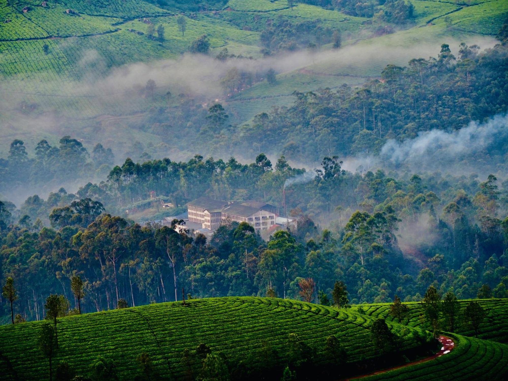 Lockhart Bungalow Munnar - A Cgh Earth Saha Experience Kültér fotó
